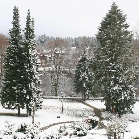 Dein - Hahnenklee 4*