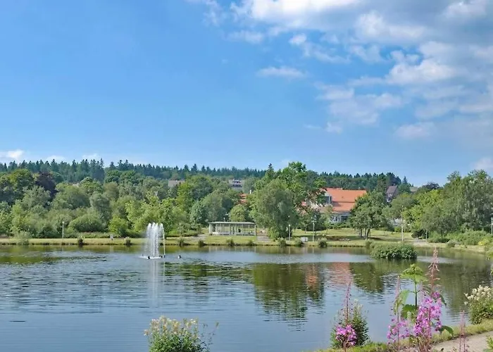 Dein - Hahnenklee ホテル 4*