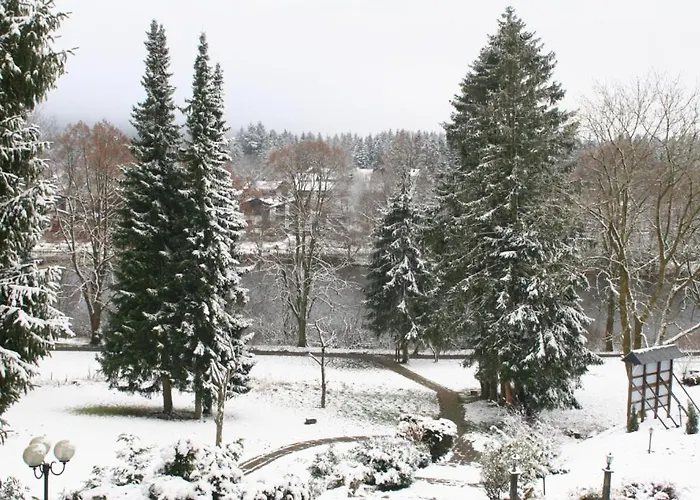 Dein - Hahnenklee 4*