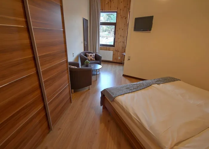 Dein - Hahnenklee ホテル ゴスラー